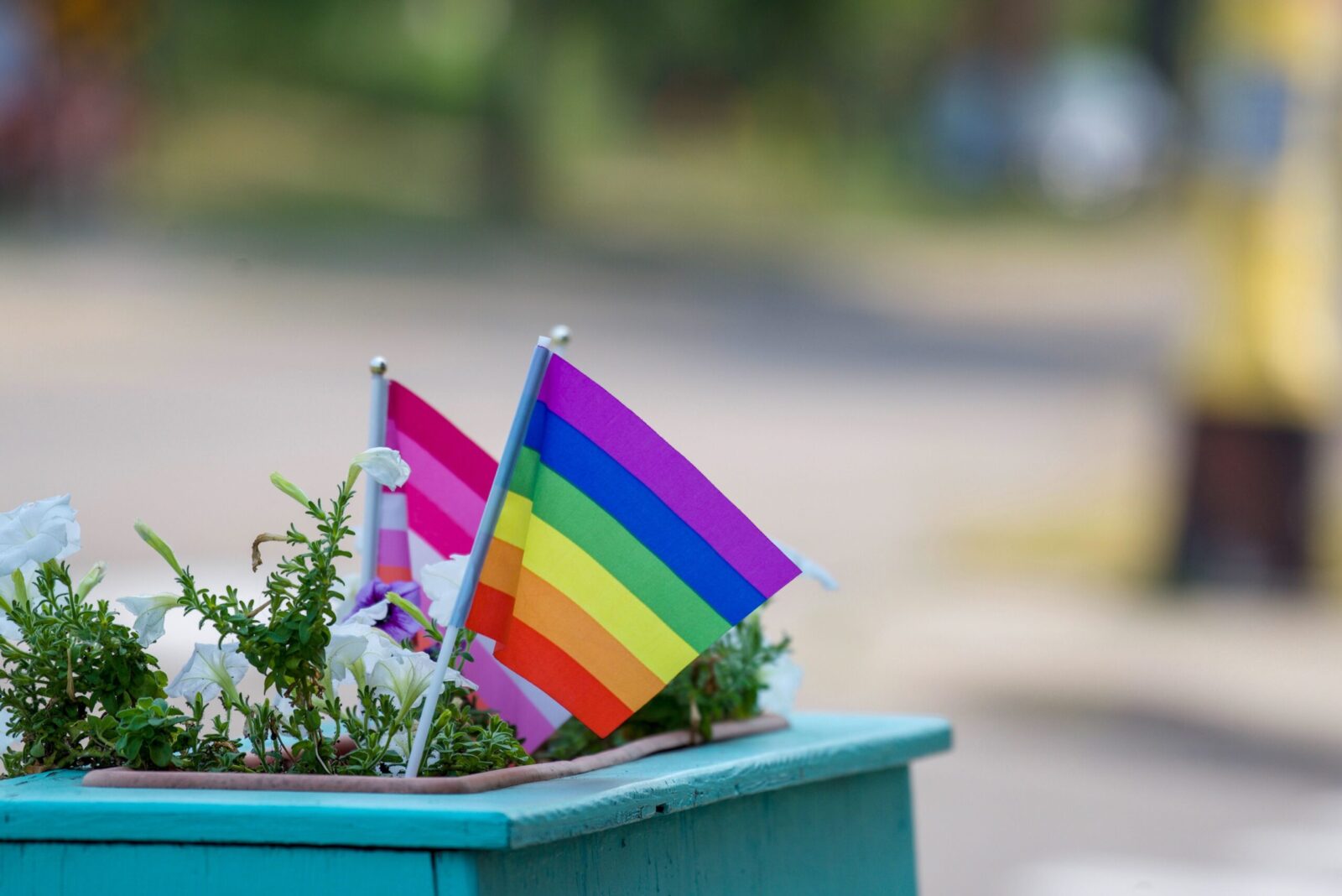 Vibrant rainbow and pride flags among blooming flowers in a city planter, symbolizing diversity.